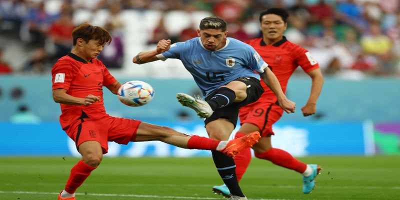 Đội hình dự kiến nhận định kèo Uruguay vs Hàn Quốc
